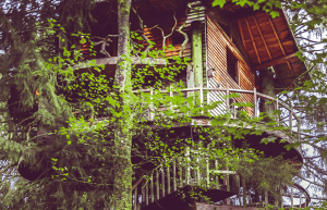 A Casa da Árvore na Bélgica e seus encantos naturais